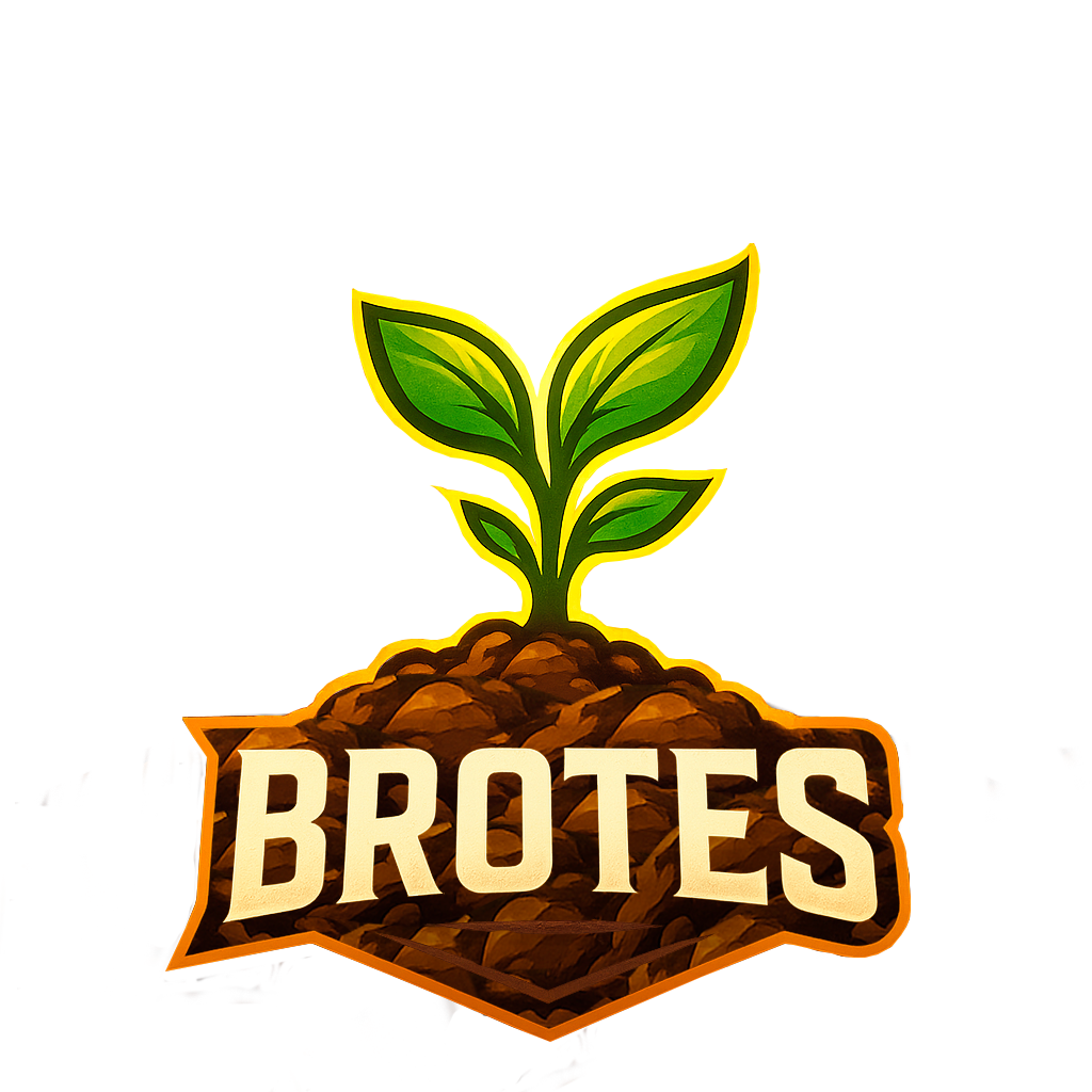 Brotes