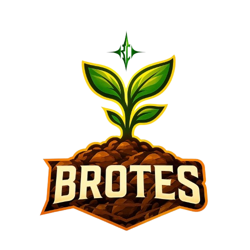 Brotes