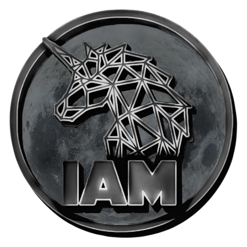 Project IAM
